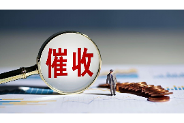 罗甸罗甸讨债公司服务